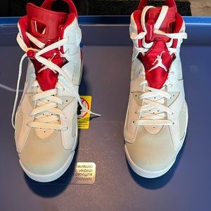 Air Jordan Alternate 6s